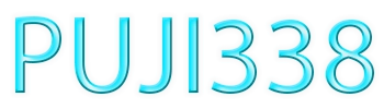 PUJI338